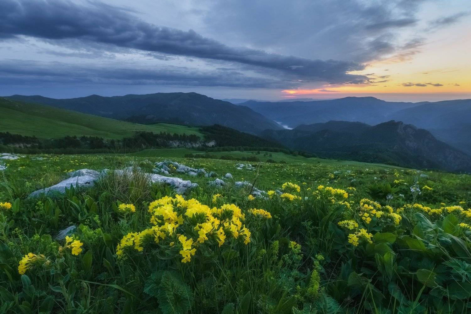 северный кавказ, рожкао, дженту,рассвет,июнь,, Николай Мысливцев