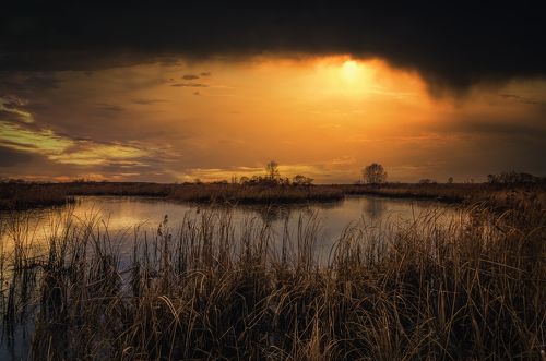 Темные небеса