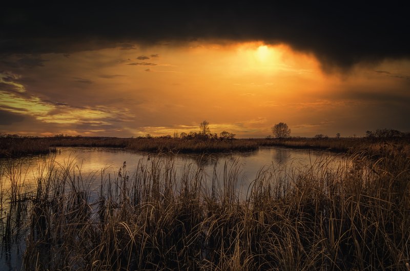 Нет людей На улице Природа отражение вода Облако - Небо Озеро Небо Сценики - Природа Закат солнца Спокойная сцена спокойствие Пейзаж - Декорации Красота в природе дерево Негородская сцена Темные небеса фото превью