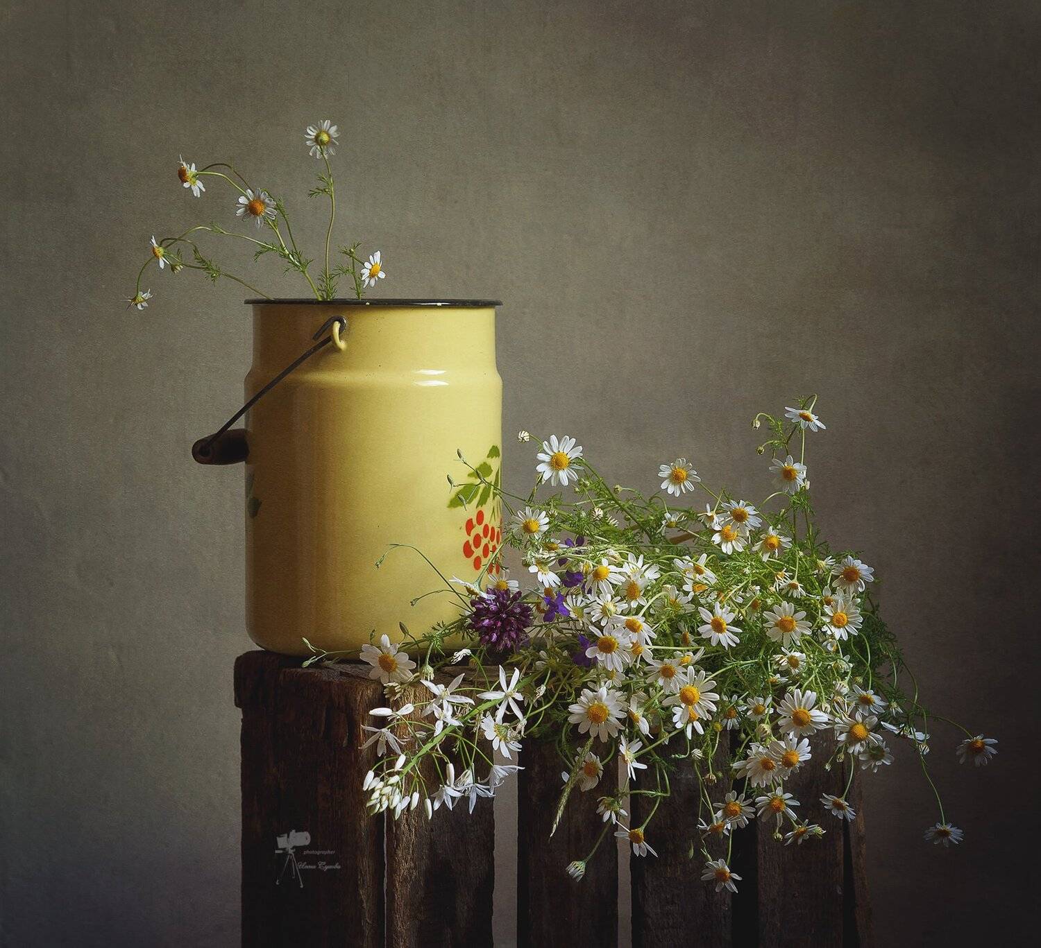 , Инна Сухова