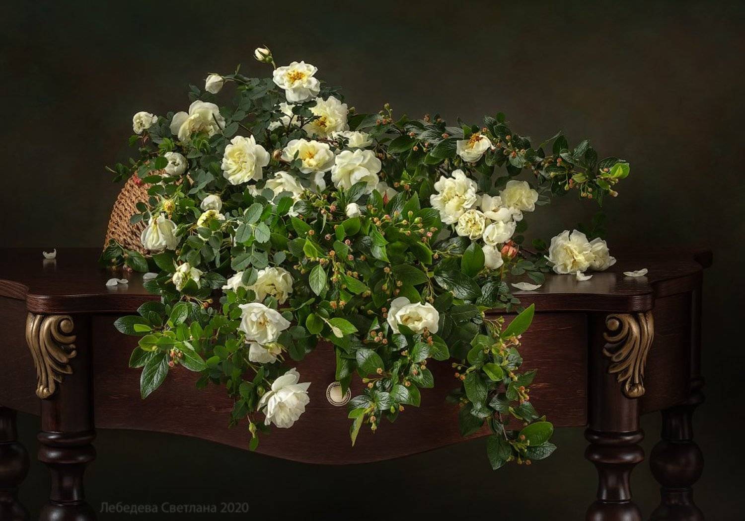 шиповник,цветы,натюрморт, Светлана Л.