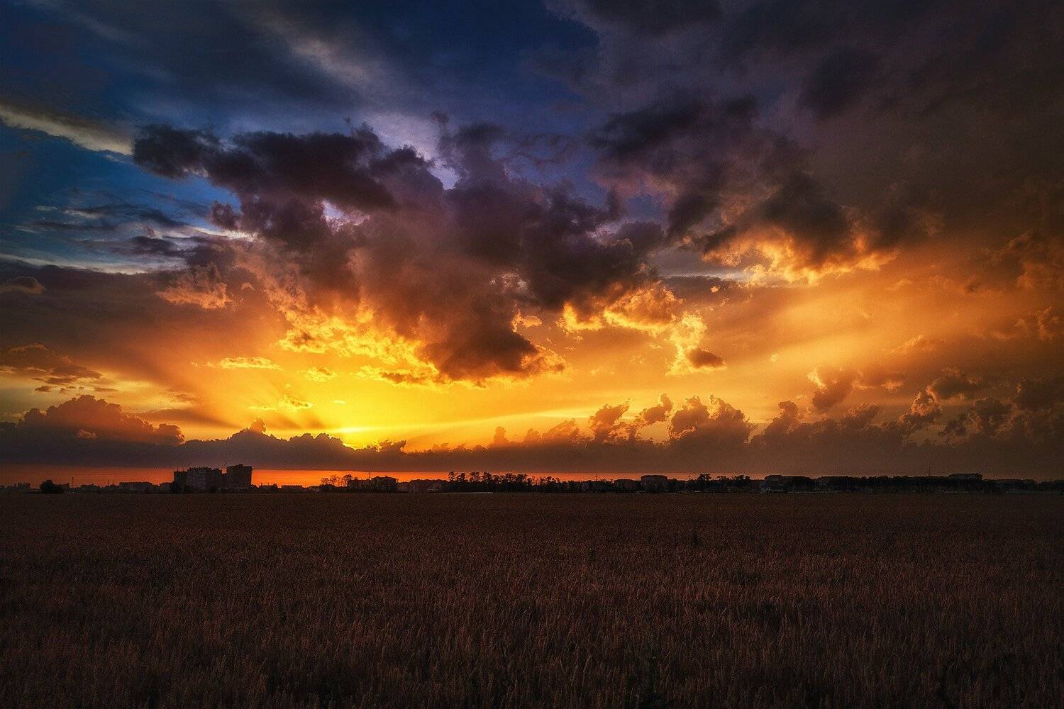 , Павел Сагайдак