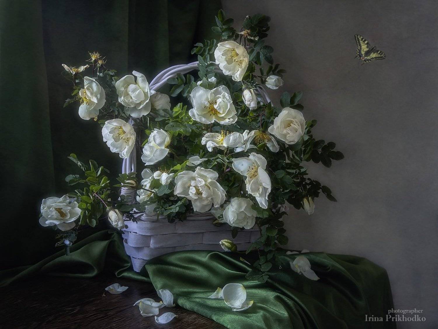 натюрморт, винтажный, цветочный, художественное фото, лето, шиповник, Ирина Приходько