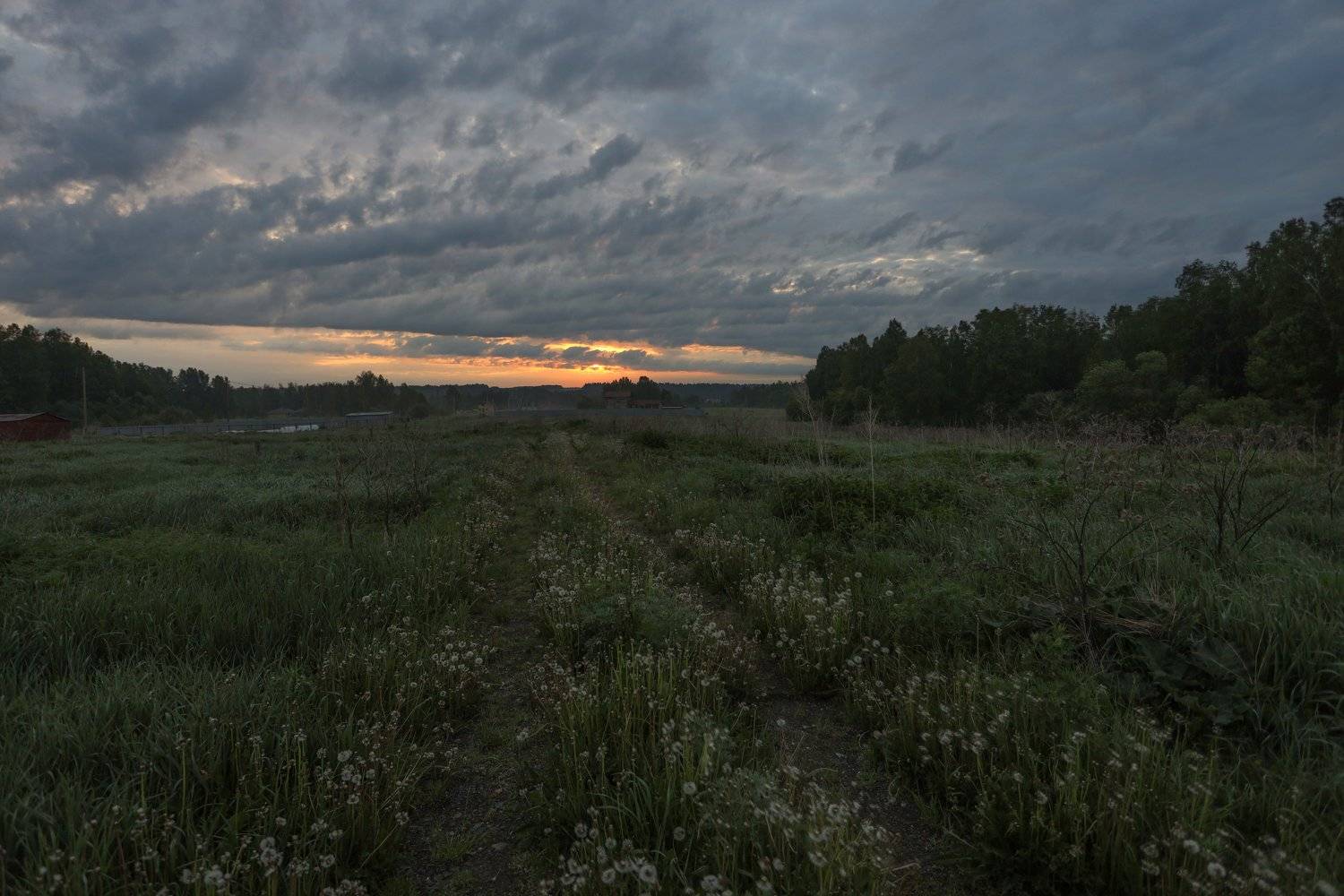 , Константин Буркин