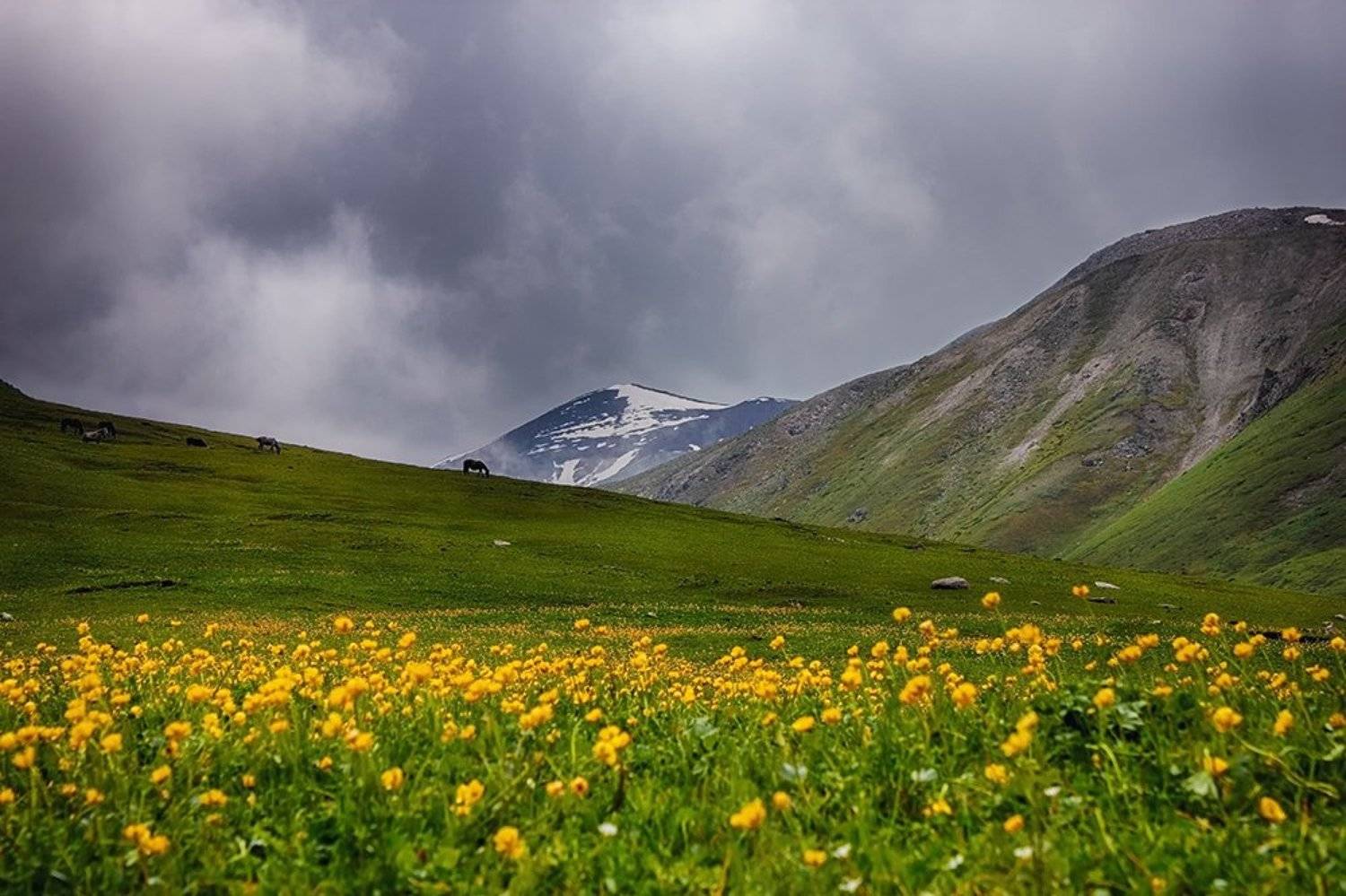 кыргызстан, горы, Элина Магалимова