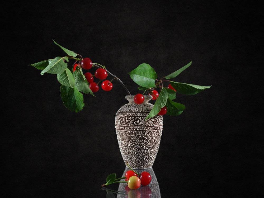 , Анжелика Королева