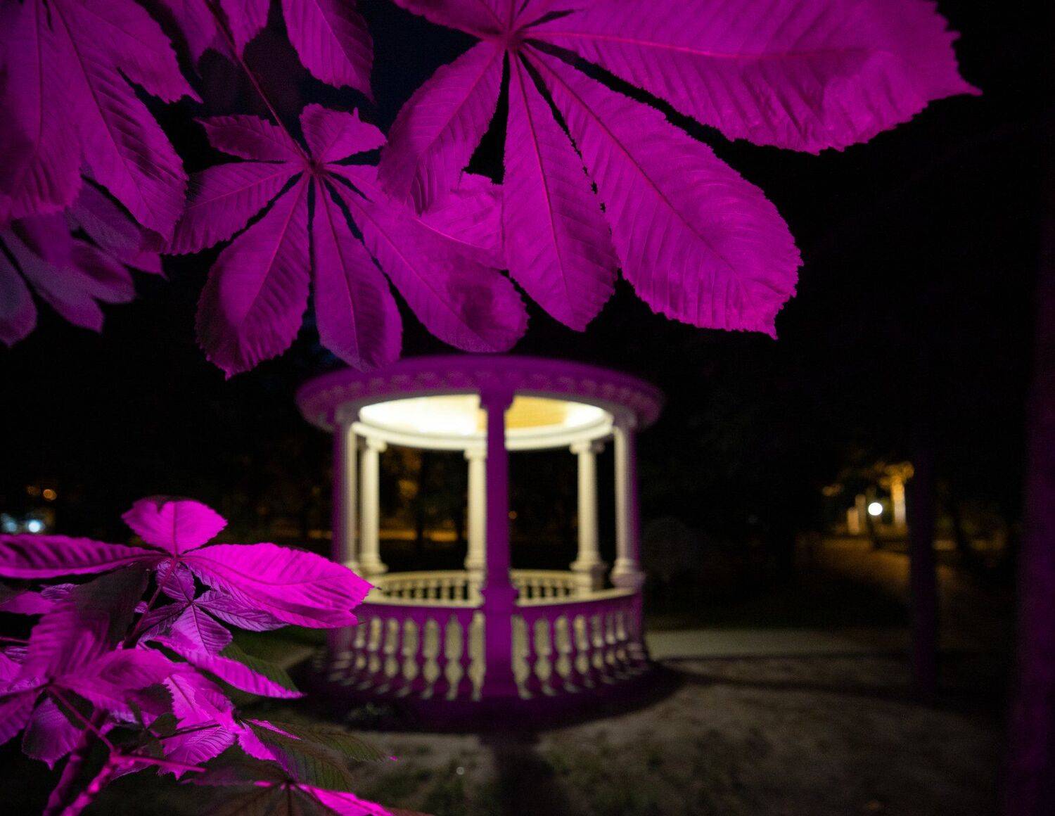 ночь, Сергей Веснин