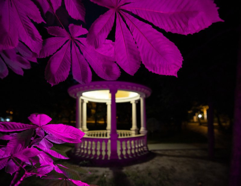 ночь В Горсаду фото превью