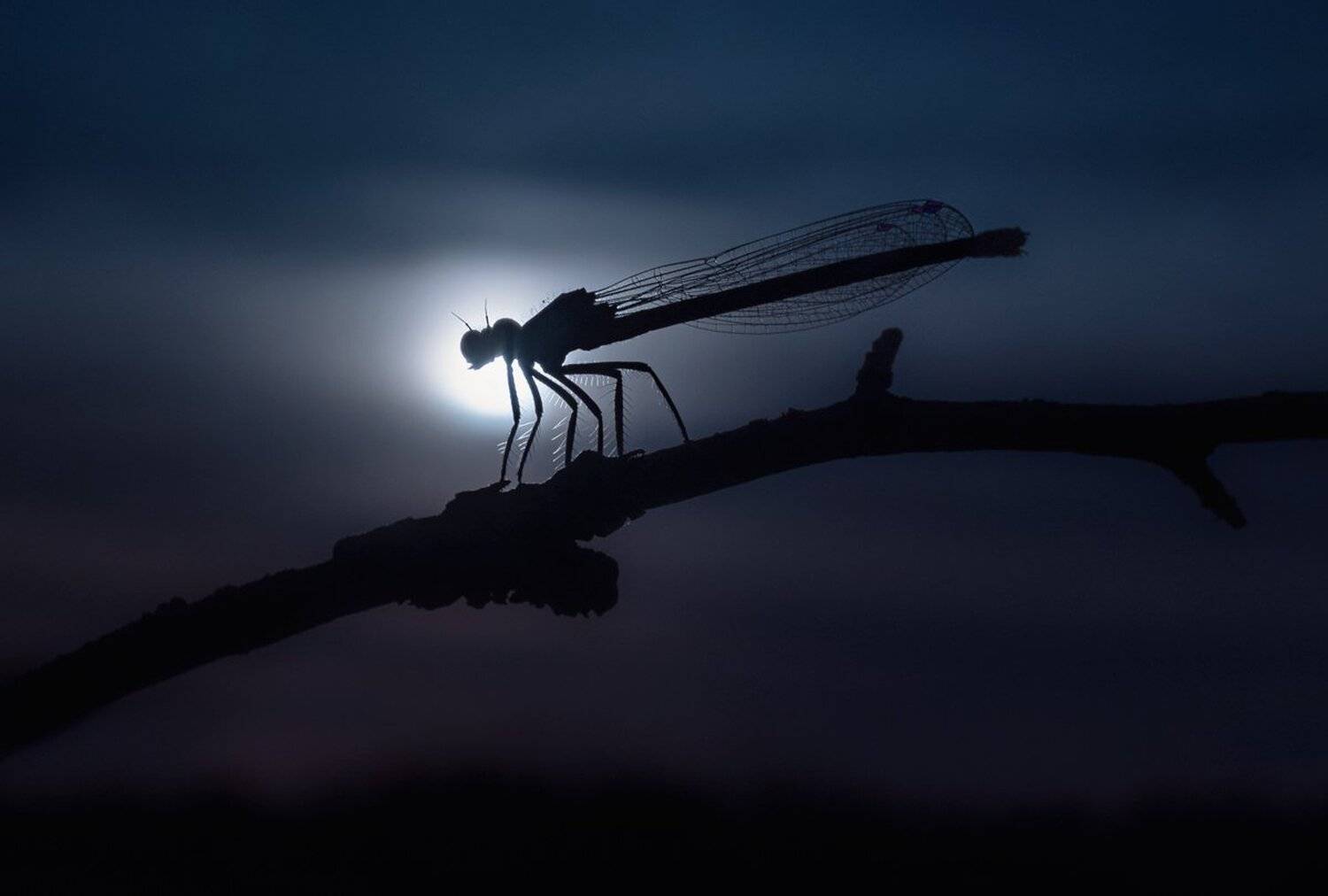 , Баранов Олег