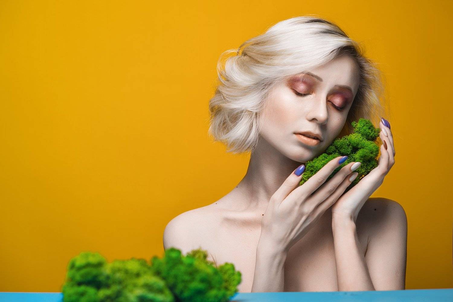 , Городничев Валерий