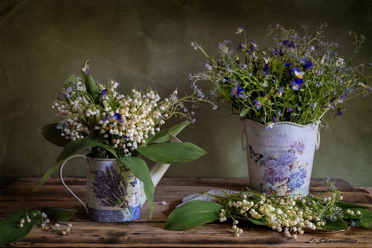 , Елизавета Шавардина