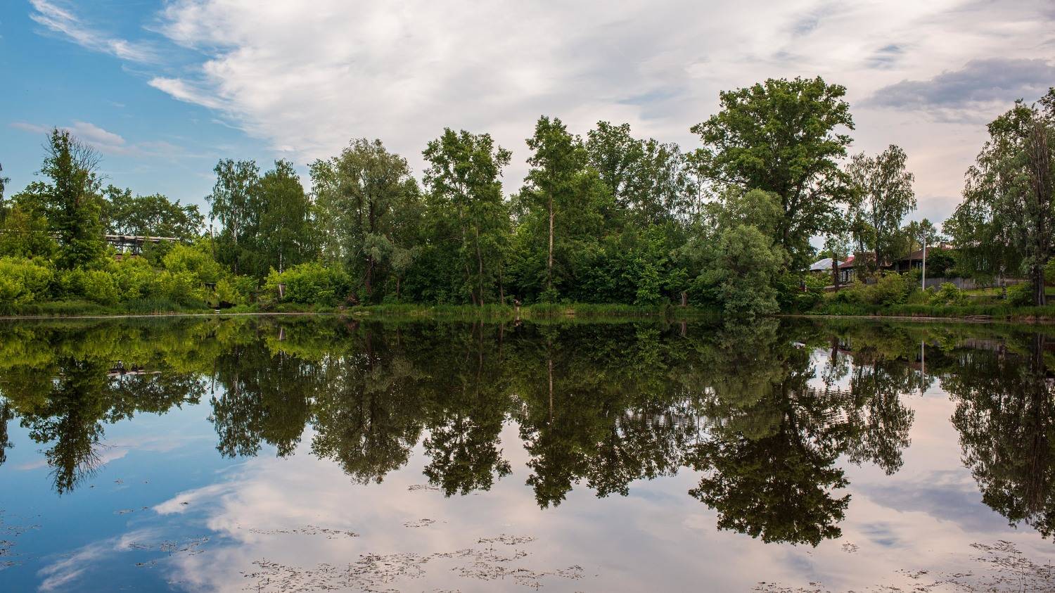 пейзаж, кулебаки, landscape, лето, summer, water, пруд, Владимир Васильев