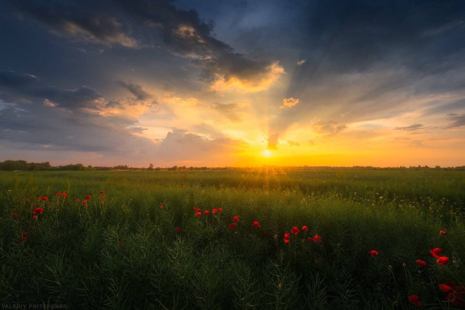 Kaliningrad, sunset, landscape, nature, пейзаж, природа, Калининград, закат, вечер, Валерий Притченко