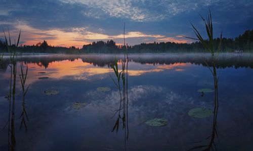 В белую ночь . . .