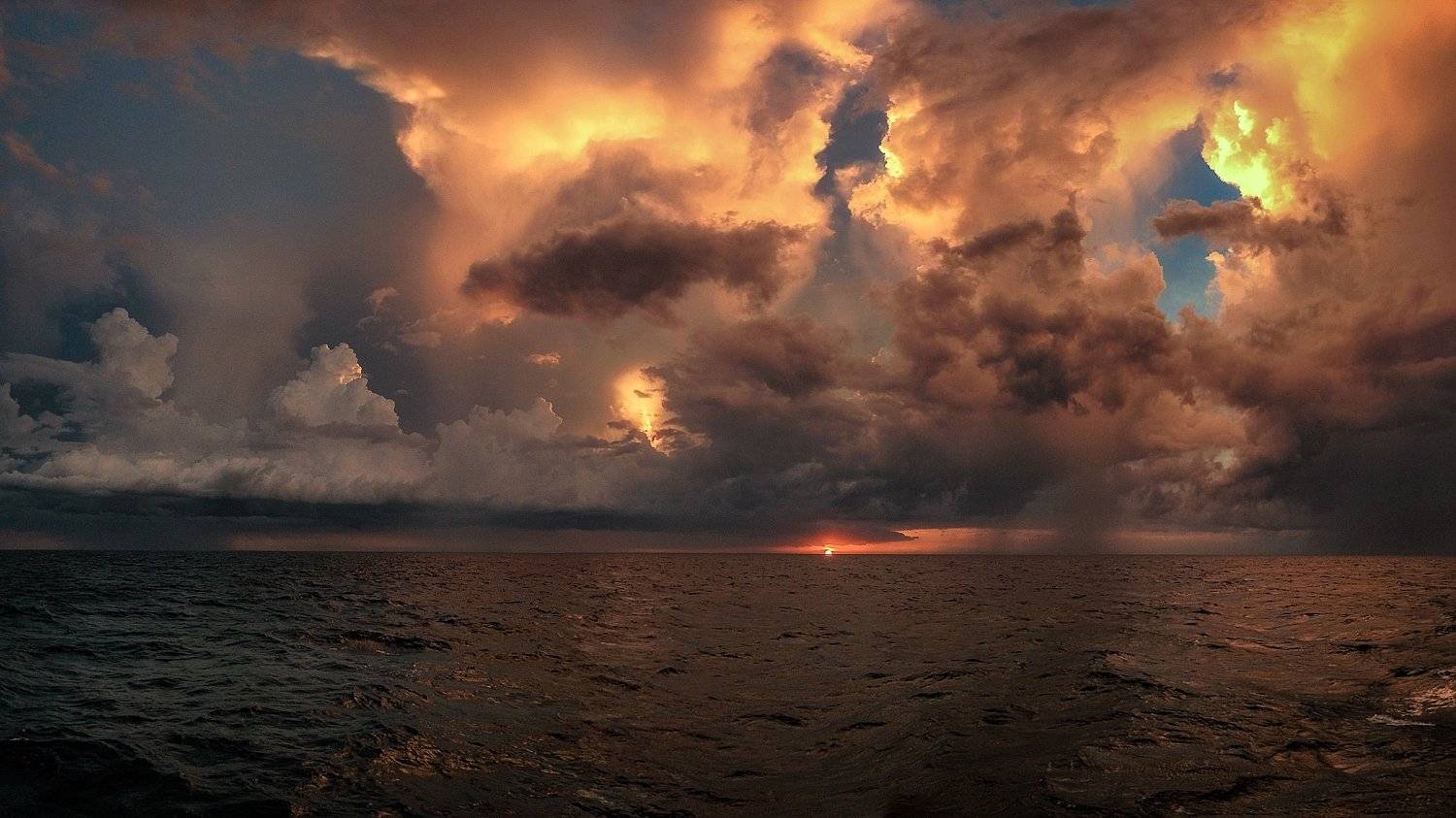 , Евгений Шварцман