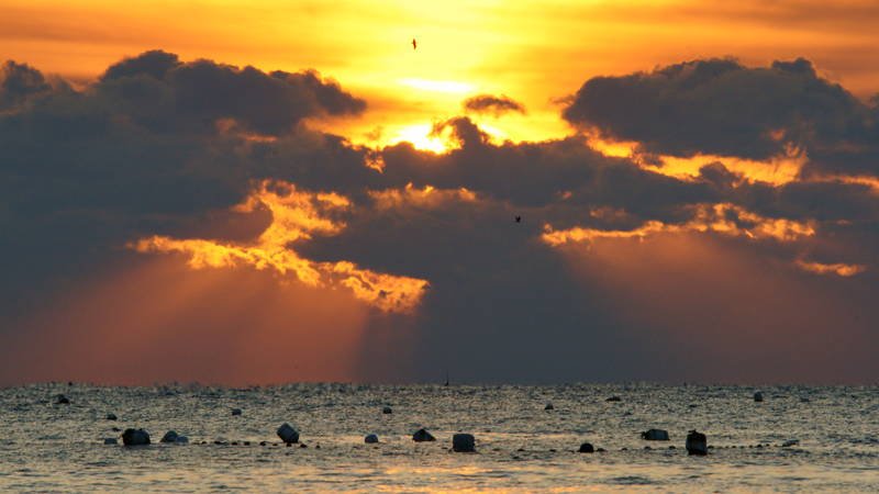south korea,gyeongsangbukdo,ulsan,sunrise,winter,sea,seascape,horizontal,sunlight,cloud,waves,colorful,dramatic Sunrise in the clouds фото превью