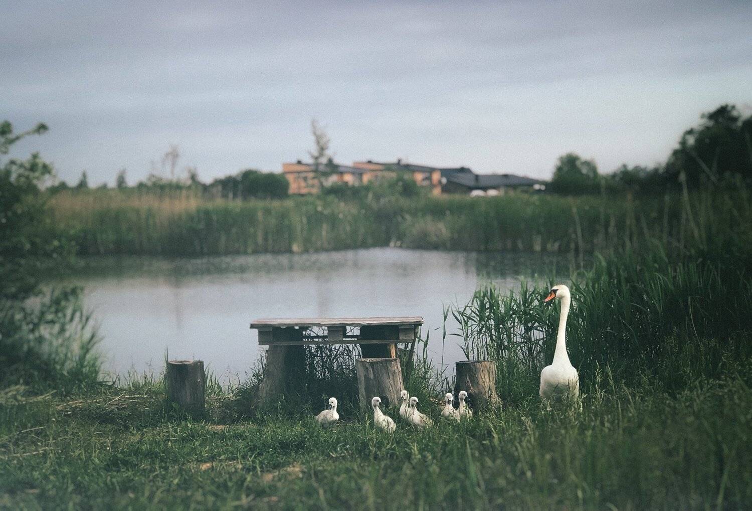 #iphone, #picsart, #snapseed, Artur Politov