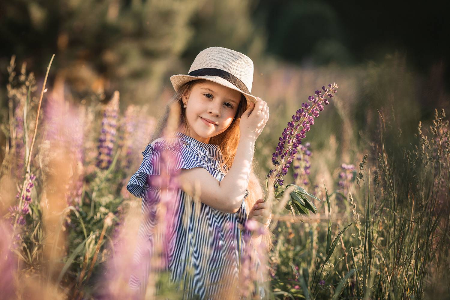 девочка, фотосессия, лето, прогулка, репортаж, little girl, summer, portrait, портрет, люпины, закат, sunset, Владимир Васильев
