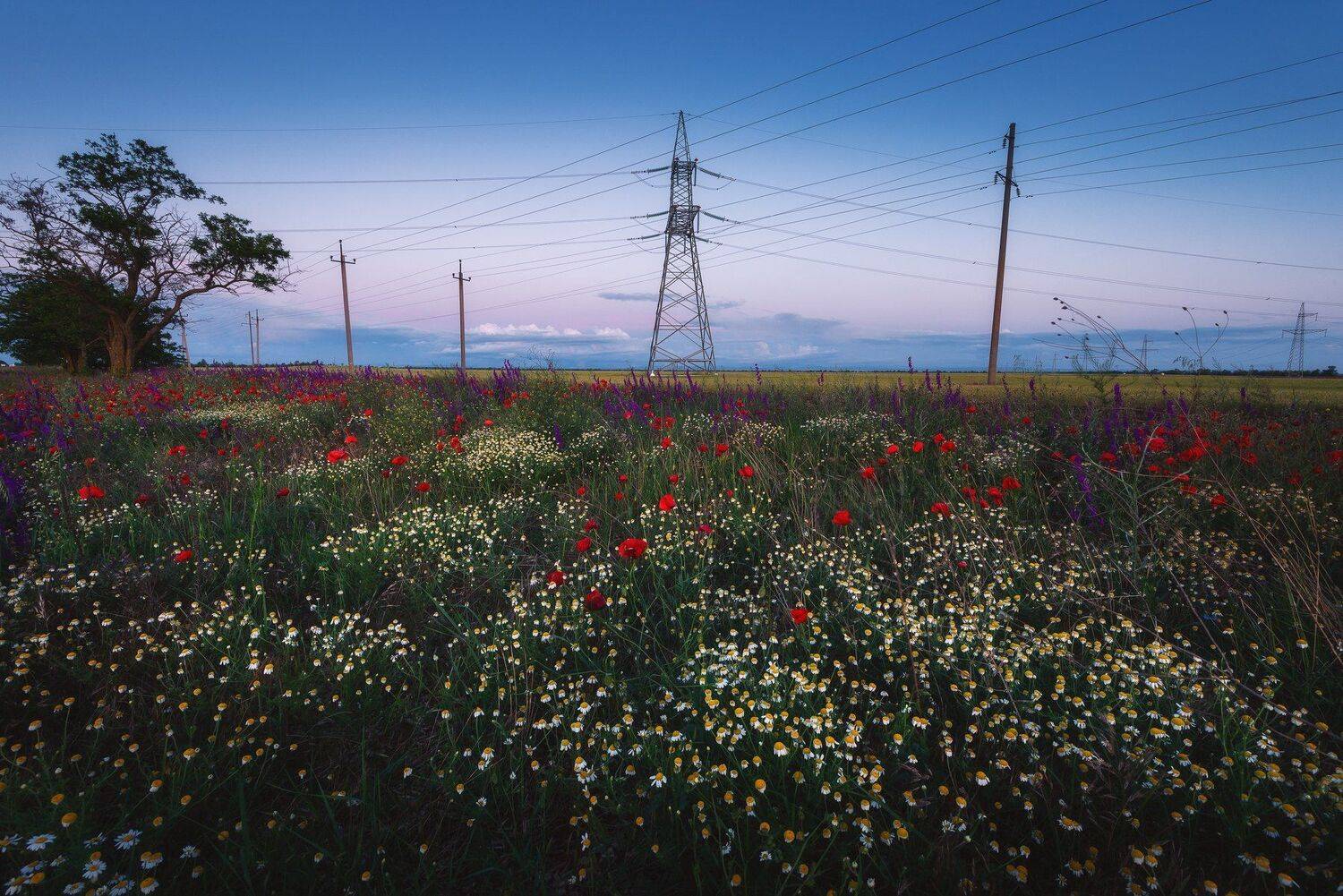 , Oleg Feofanov