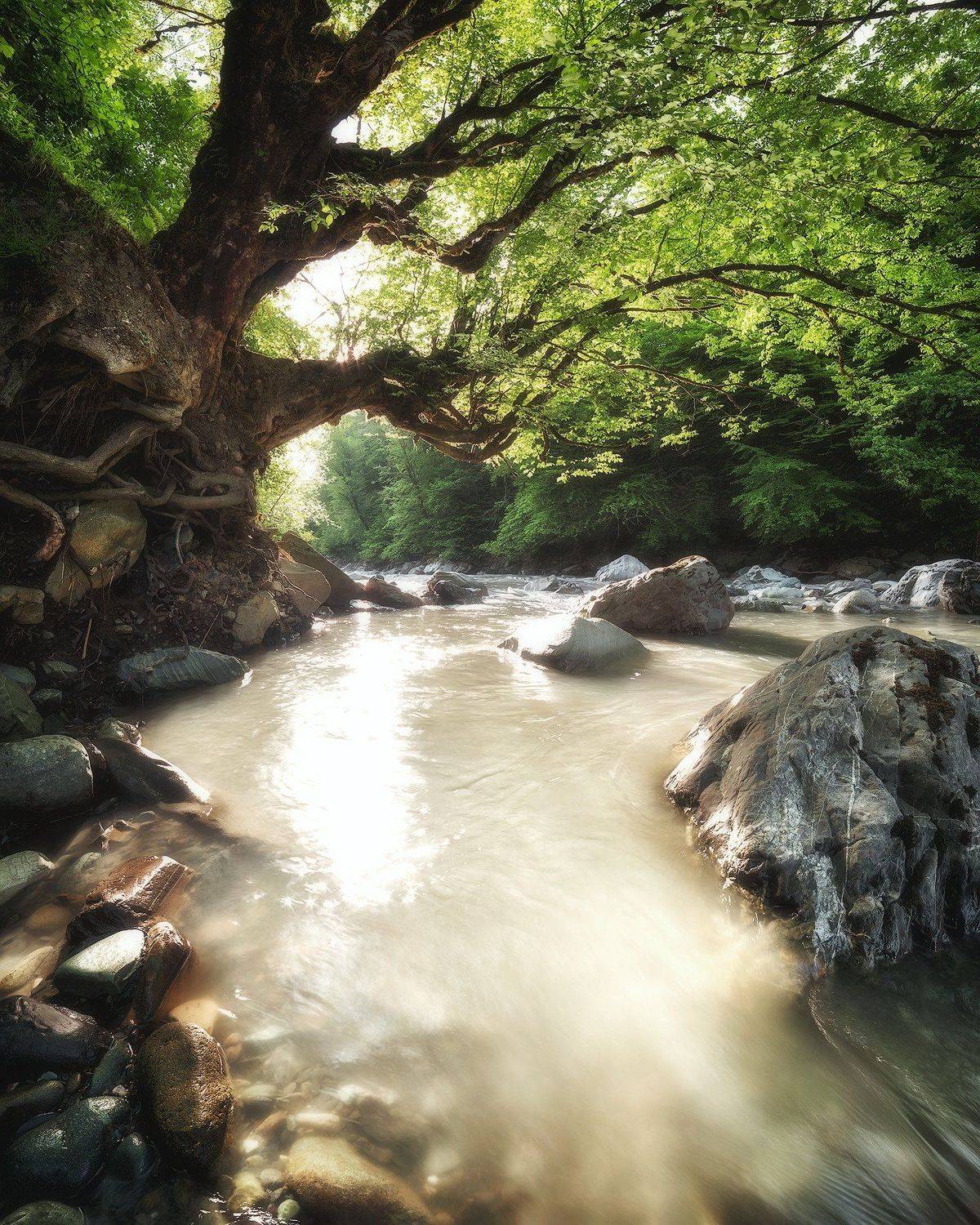 горная река, рассвет, пейзаж, кавказ, сочи, Tania Leschinskaya