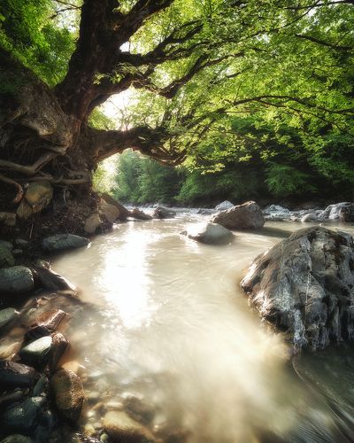 Мзымта до начала времен