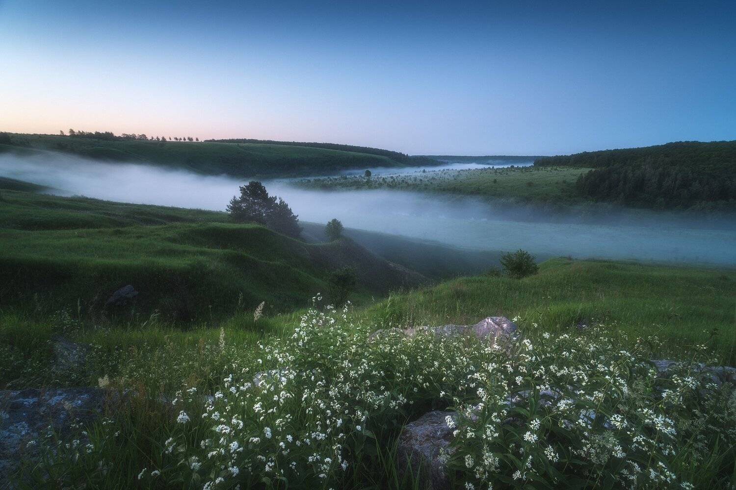 россия, тульская область, ефремов, красивая меча, река, лето, природа, пейзаж, рассвет, туман, солнце, луг, Оборотов Алексей