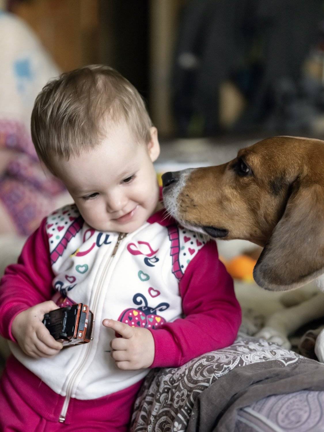 , Андрей Ляпин