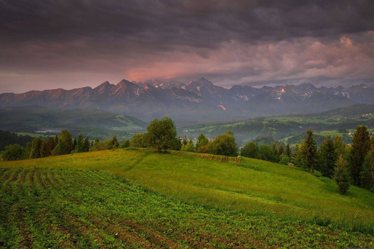 #landscape #panoramic #photo #nikon #poland #adventure #sunrise #mountains #clauds #storm #sky, Rafał Bujakowski