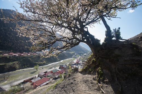 Башни Эрзи, Ингушетия