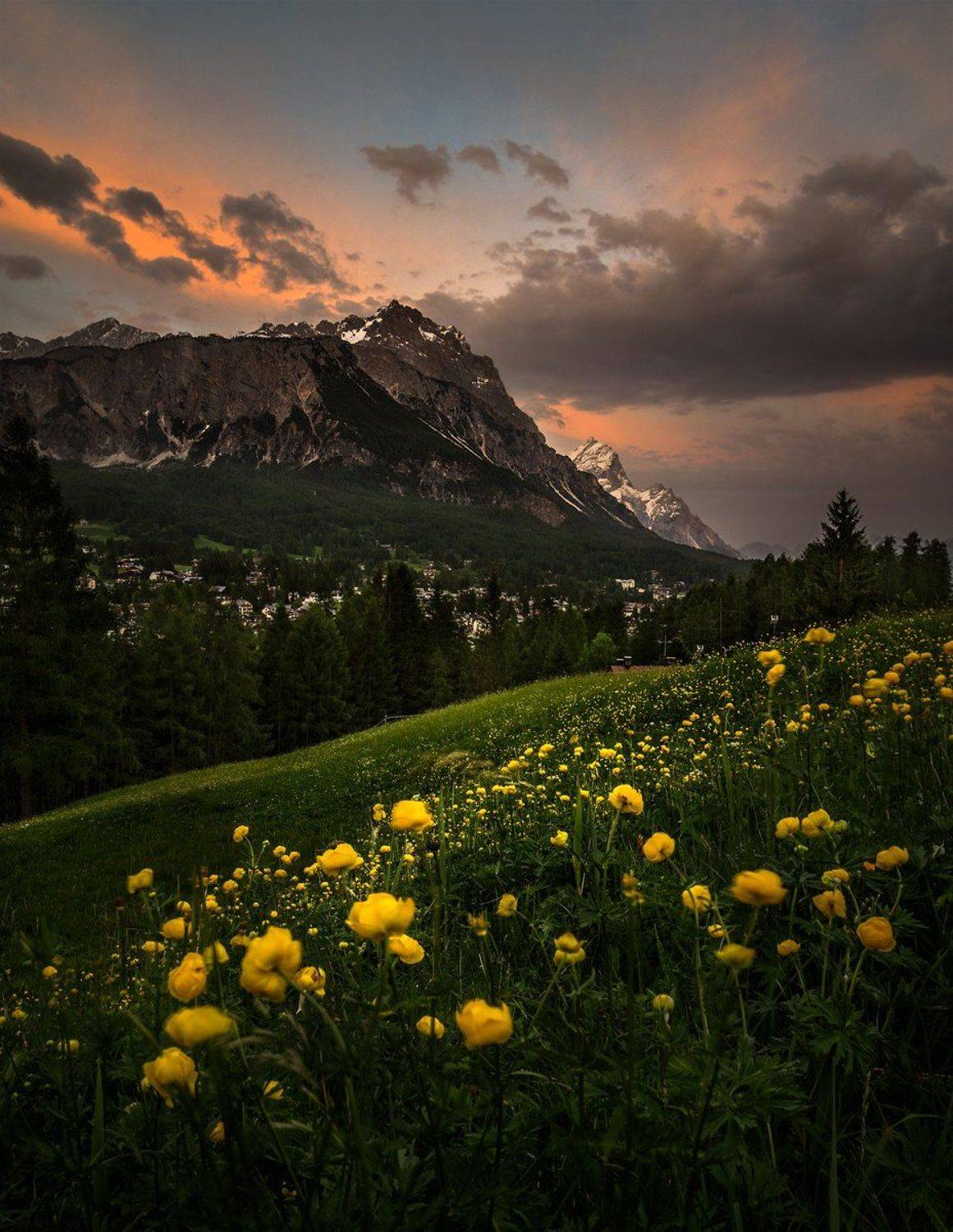 landscape nature scenery clouds mountain sunset low exposure wild flowers peony peak peaks italy alpi dolomiti dolomites, Александър Александров