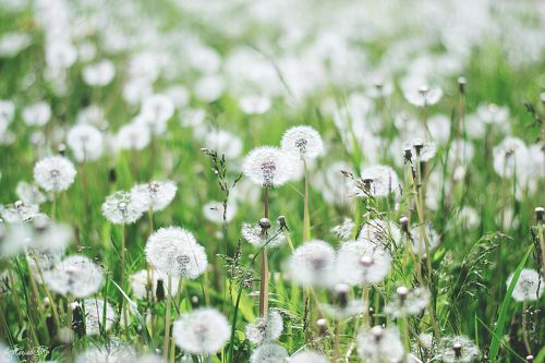 Нежнее нежного