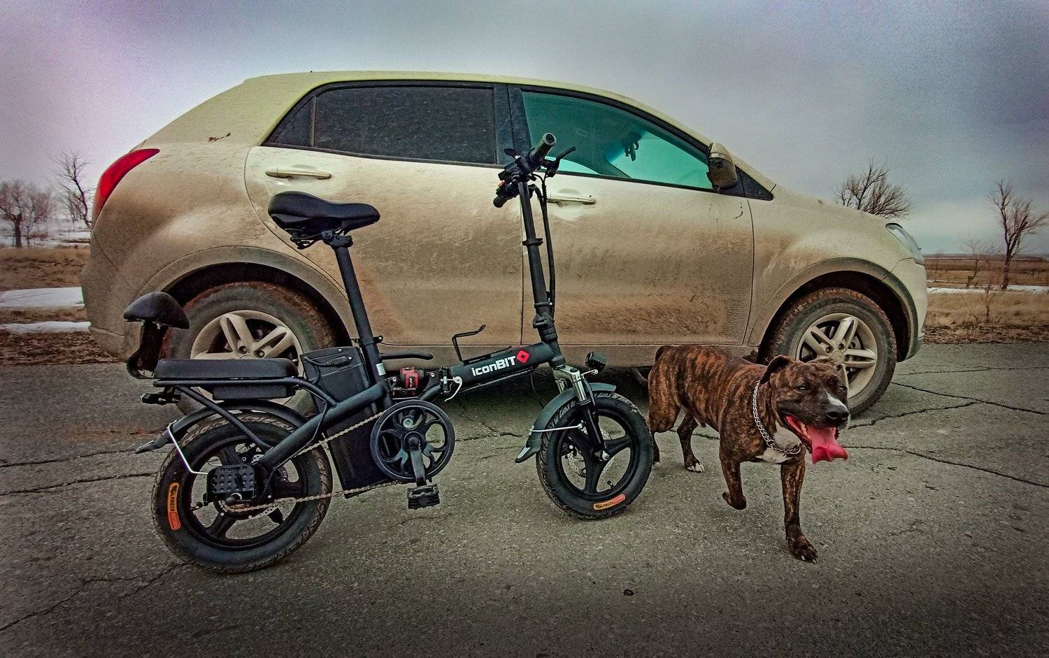 , петр чиков