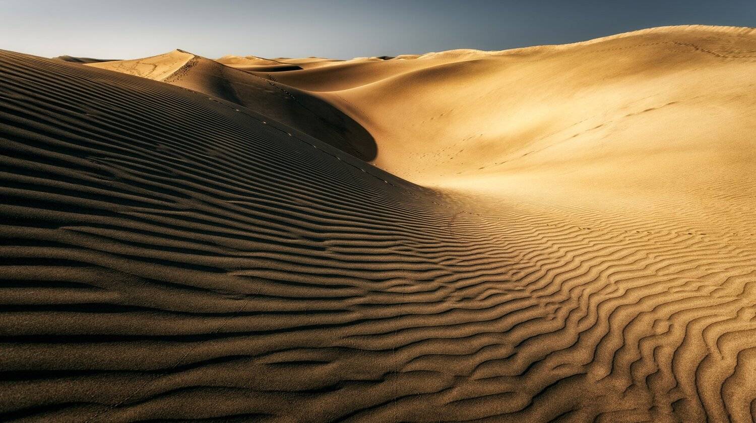 дюна, песок, Александр Безмолитвенный