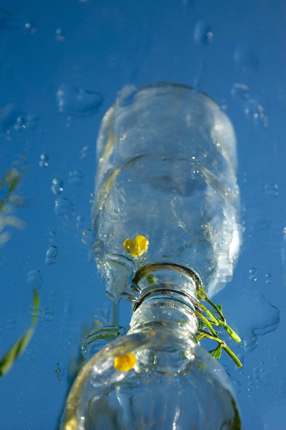 , Зоя Малхова