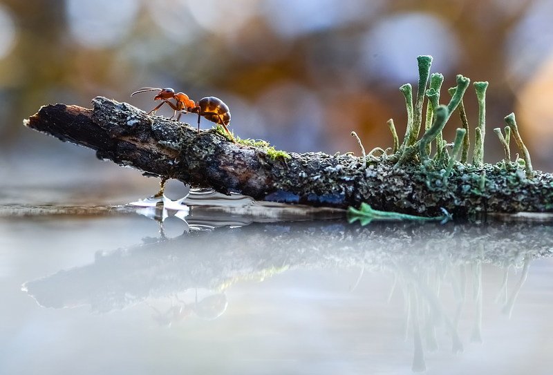 Не все дороги гладкие... фото превью