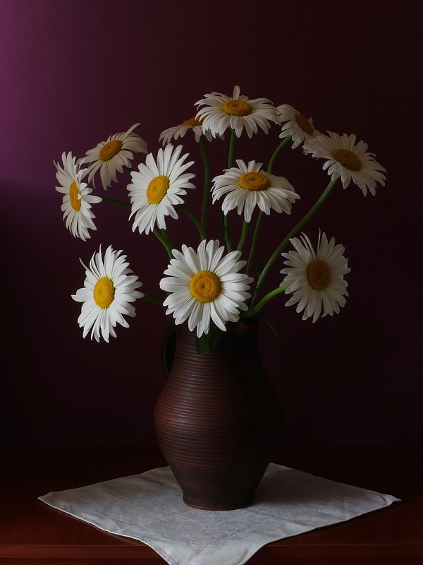 Ромашки фото превью