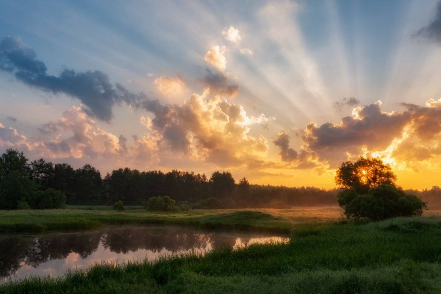 , Евгений Ерохин