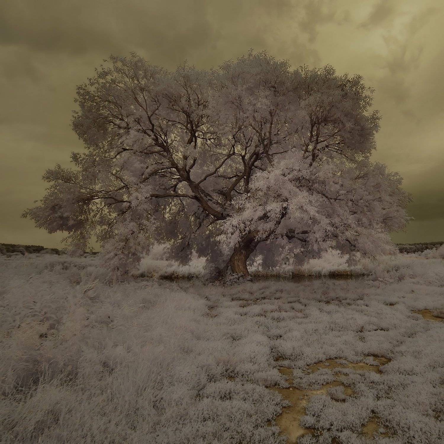 инфракрасный, ИгорьВл