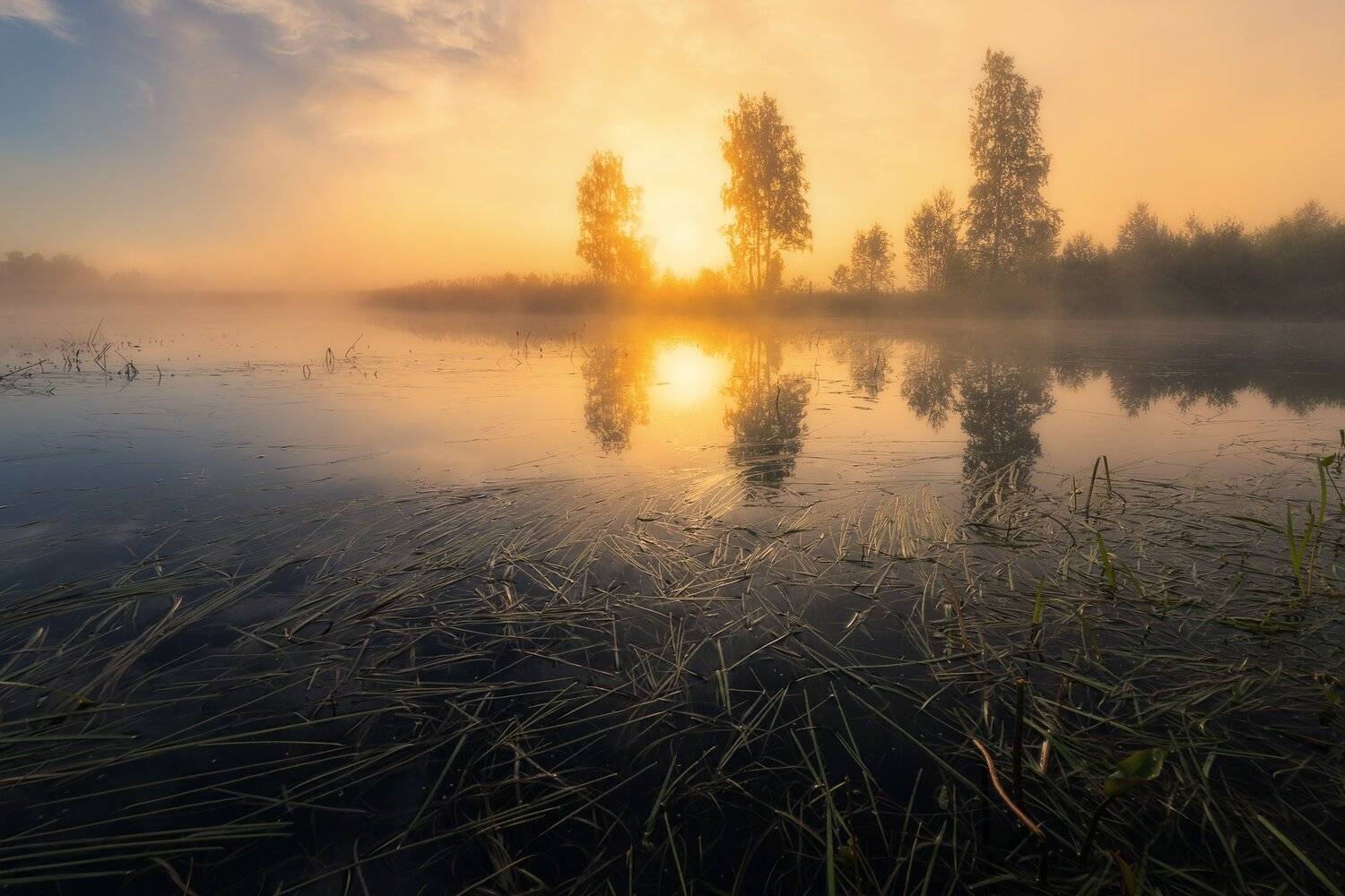 , Михаил Туркеев