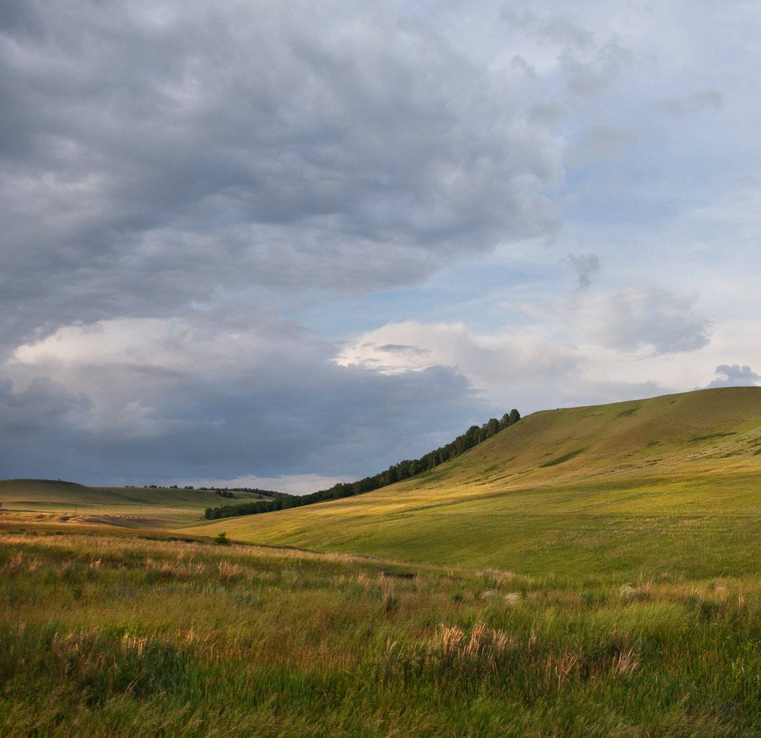 , Сергей Сотников