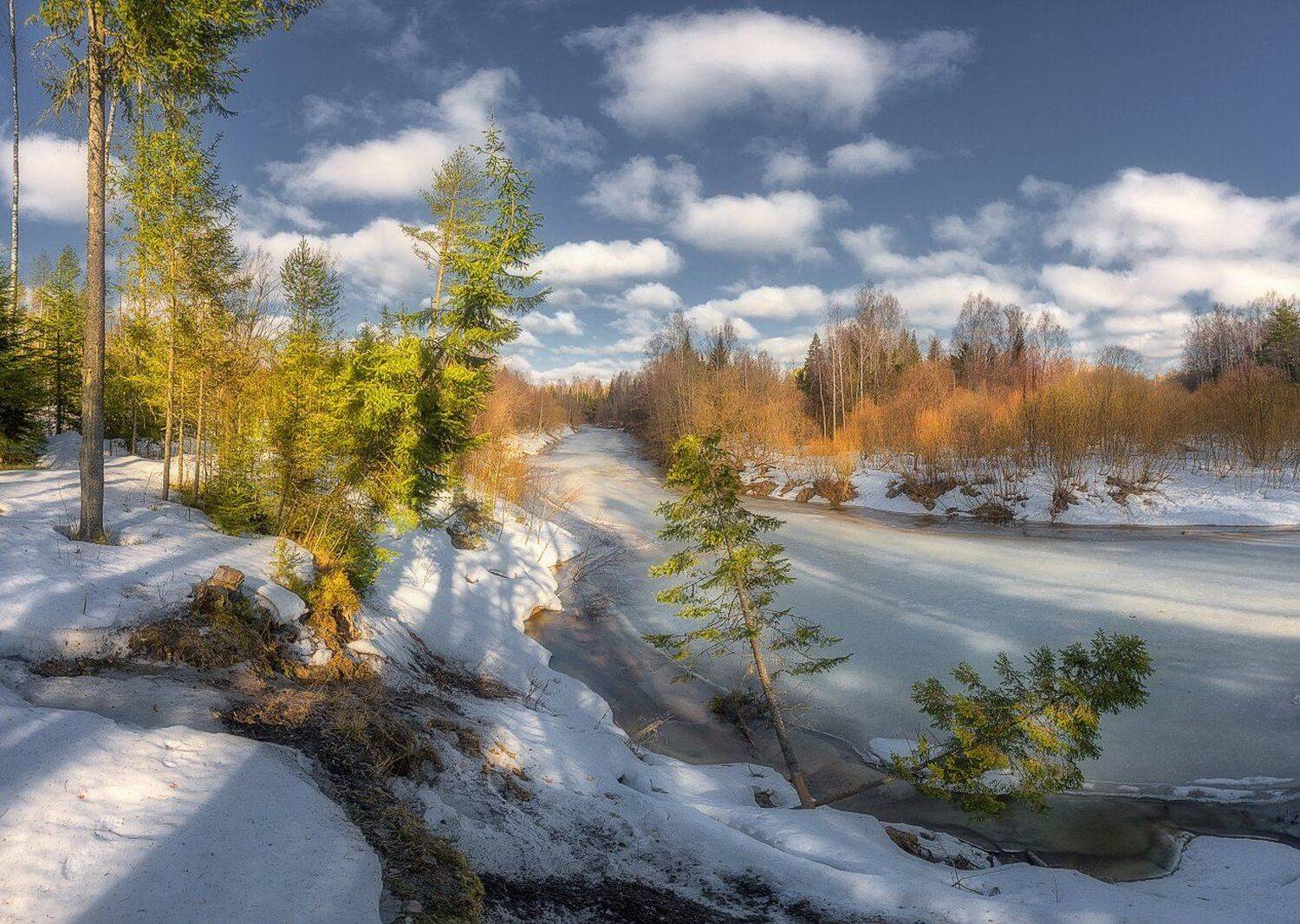 , Устюжанин Михаил