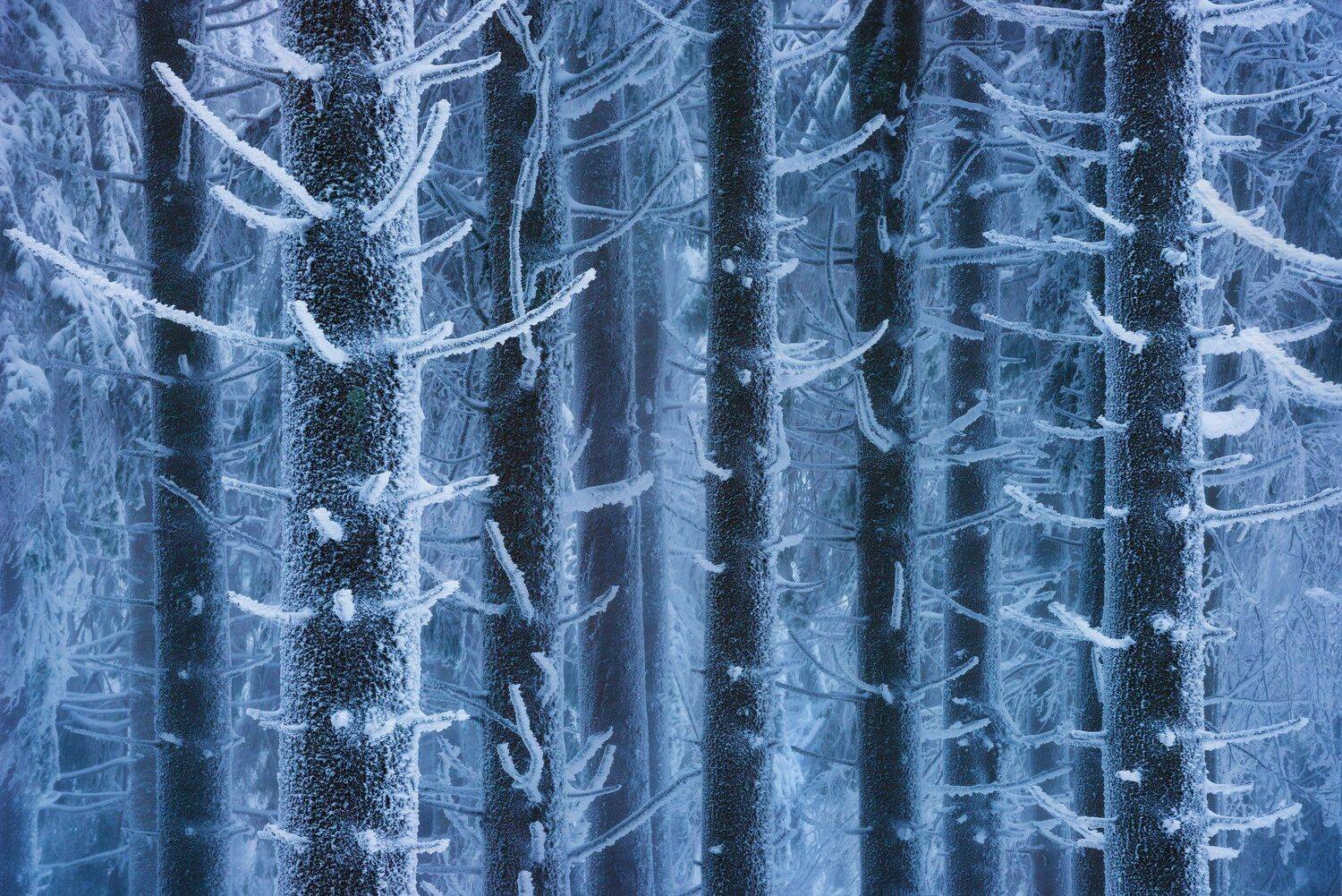 , Szabo Zsolt Andras