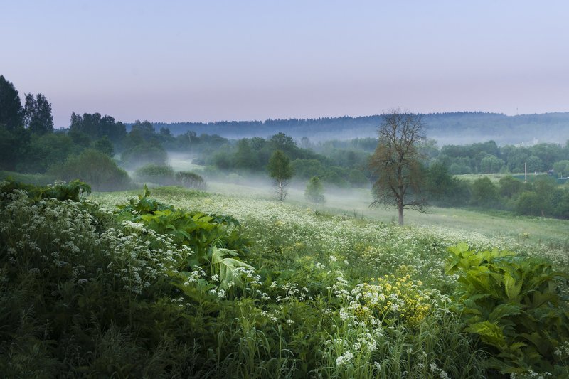 утро, рассвет, пейзаж, московская область Перед рассветом на р. Нара фото превью
