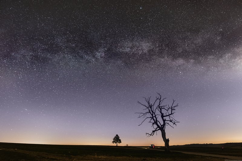#landscape #panoramic #photo #nikon #poland #milkiway #sky #star #space #night #tree #galaxy Milky Way фото превью