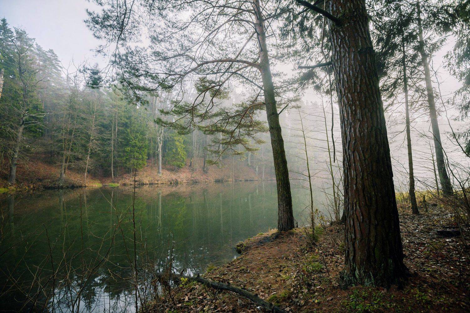 , Копычко Михаил