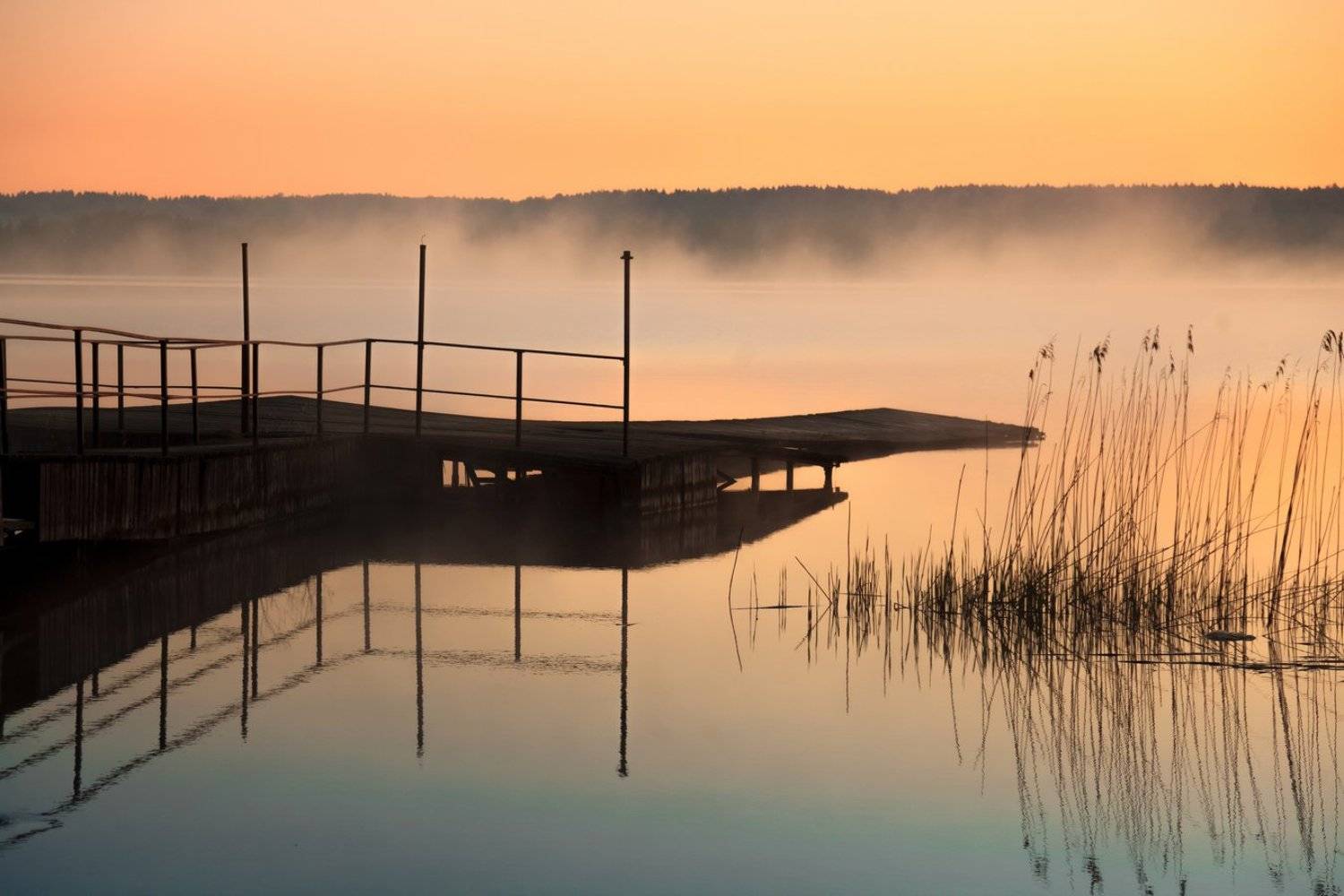 Икша, рассвет, Элина Хван