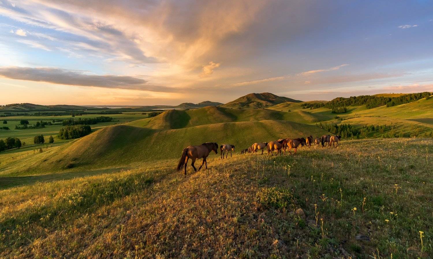 , Леонид Максименко