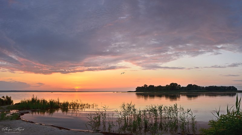июнь, лето, рассвет, восход, небо, облака, река Утро летнего солнцестояния фото превью