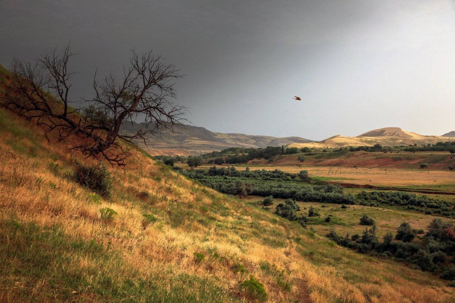 песок,песчаная гора,сарыкум,жёлтые пески,дагестан,заповедник., Marat Magov
