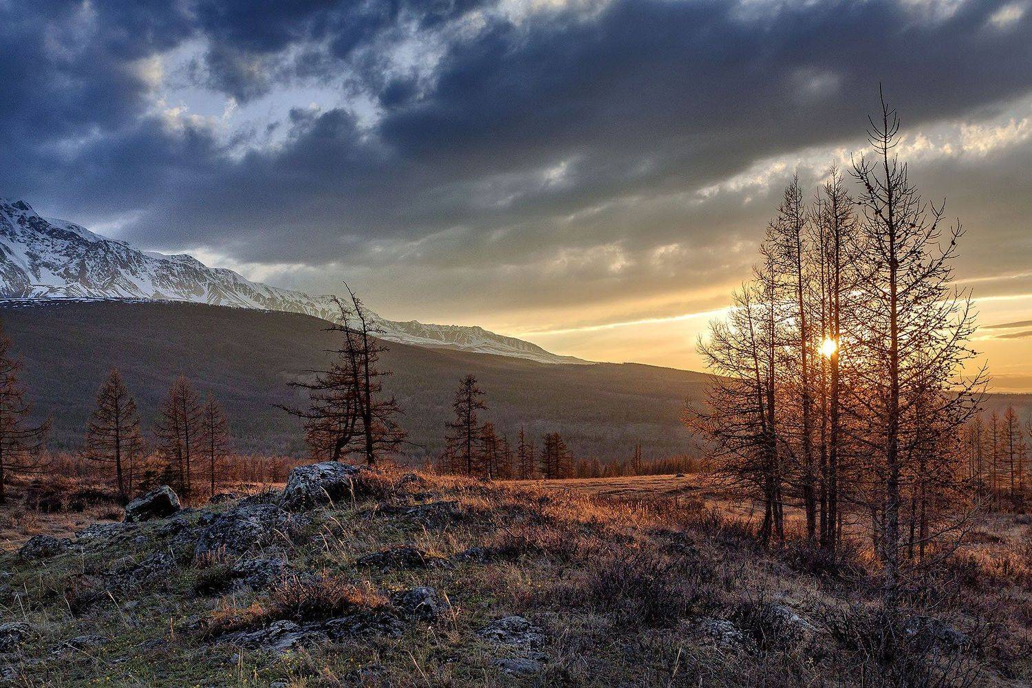 южный урал,оренбургская область, орск, новотроицк,алтай алтайский край, Качурин Алексей